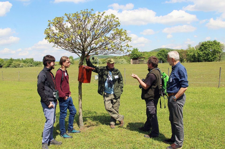April Birding and Events!